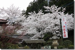IMG_3943 IMG_3943