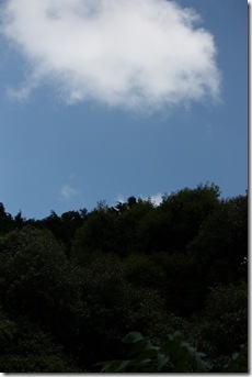 IMG_4374 IMG_4374